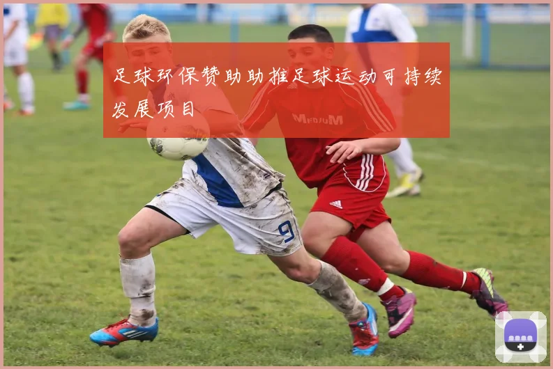 足球环保赞助助推足球运动可持续发展项目