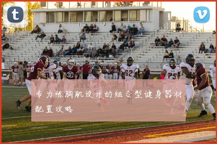 专为练胸肌设计的组合型健身器材配置攻略