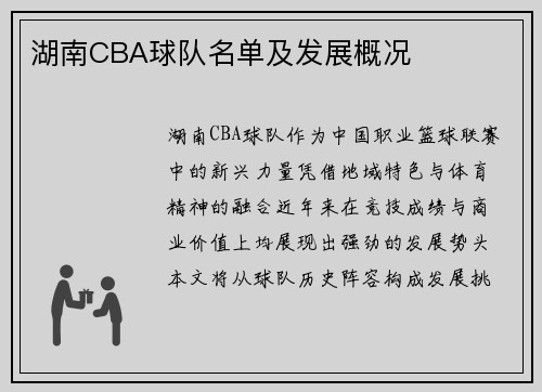 湖南CBA球队名单及发展概况