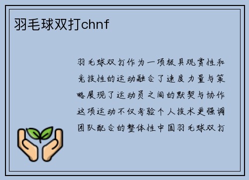 羽毛球双打chnf